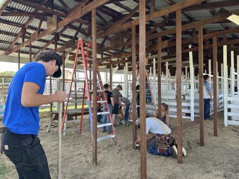 multiple youth with their backs turned to the camera as they build stalls on a hay covered ground