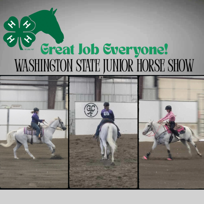 Photo Collage with a gradient gray backgrounds state "Great Job Everyone! Washington State Junior Horse Show" next to the 4-H Horse Logo. In the picture collage are three images of different youth members riding white horses within the arena.