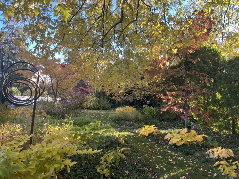 Trees and shrubs turning fall colors.