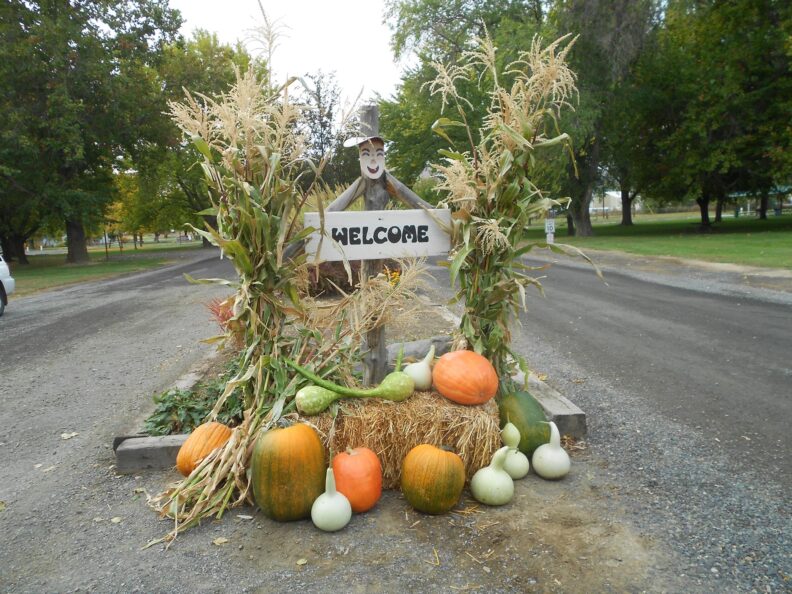Ahtanum Park Entrance decorated with fall flora: corn stalks, squash and gourds, and a happy scarecrow with a "Welcome" sign.