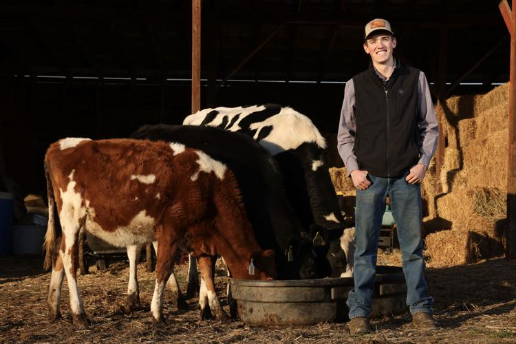 A young man wearing a cap, long-sleeve shirt, and black vest stands smiling in a barnyard beside a group of calves eating from a large metal feed tub. Hay bales are stacked behind him, and warm sunlight highlights the animals and the surrounding farm setting.