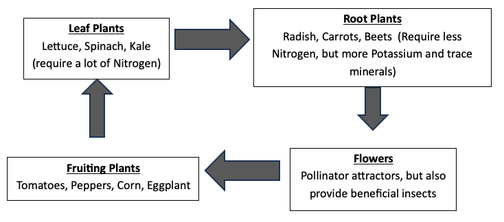 flow chart showing rotation by vegetable type