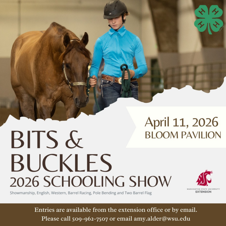 Bits & Buckles 2026 Schooling Show Poster