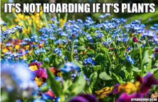 Assorted blooming flowers with the saying: "It's not hoarding if it's plants."