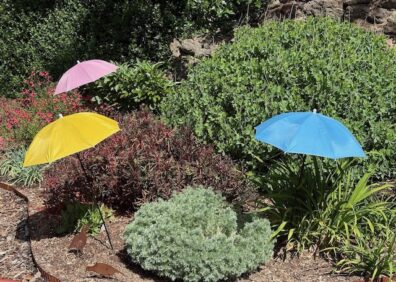 three small umbrellas, pink, yellow, and blue, positioned over green plants in the garden