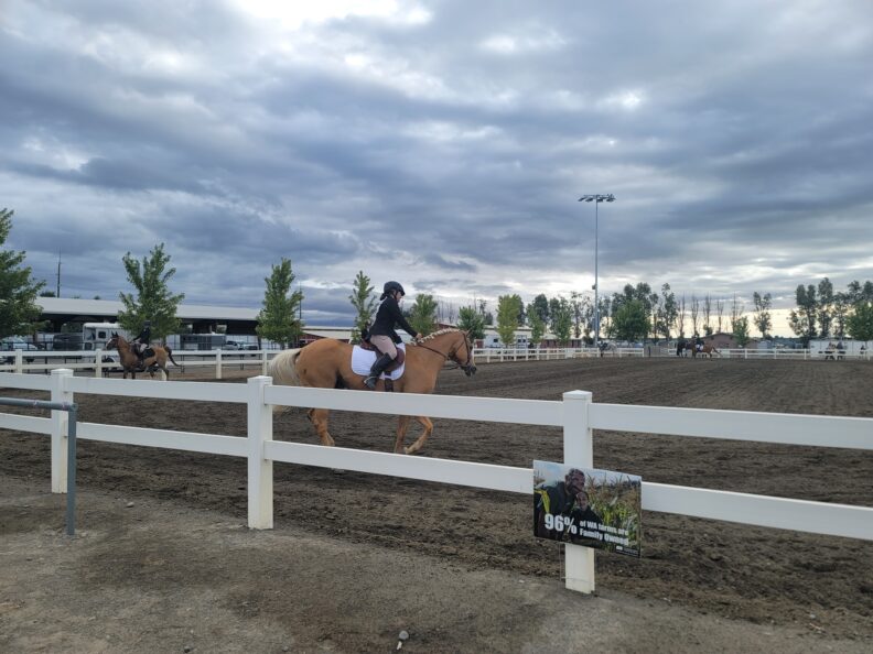 A female rider on a palomino horse competes in an outdoor arena under a cloudy sky, with other riders in the background.