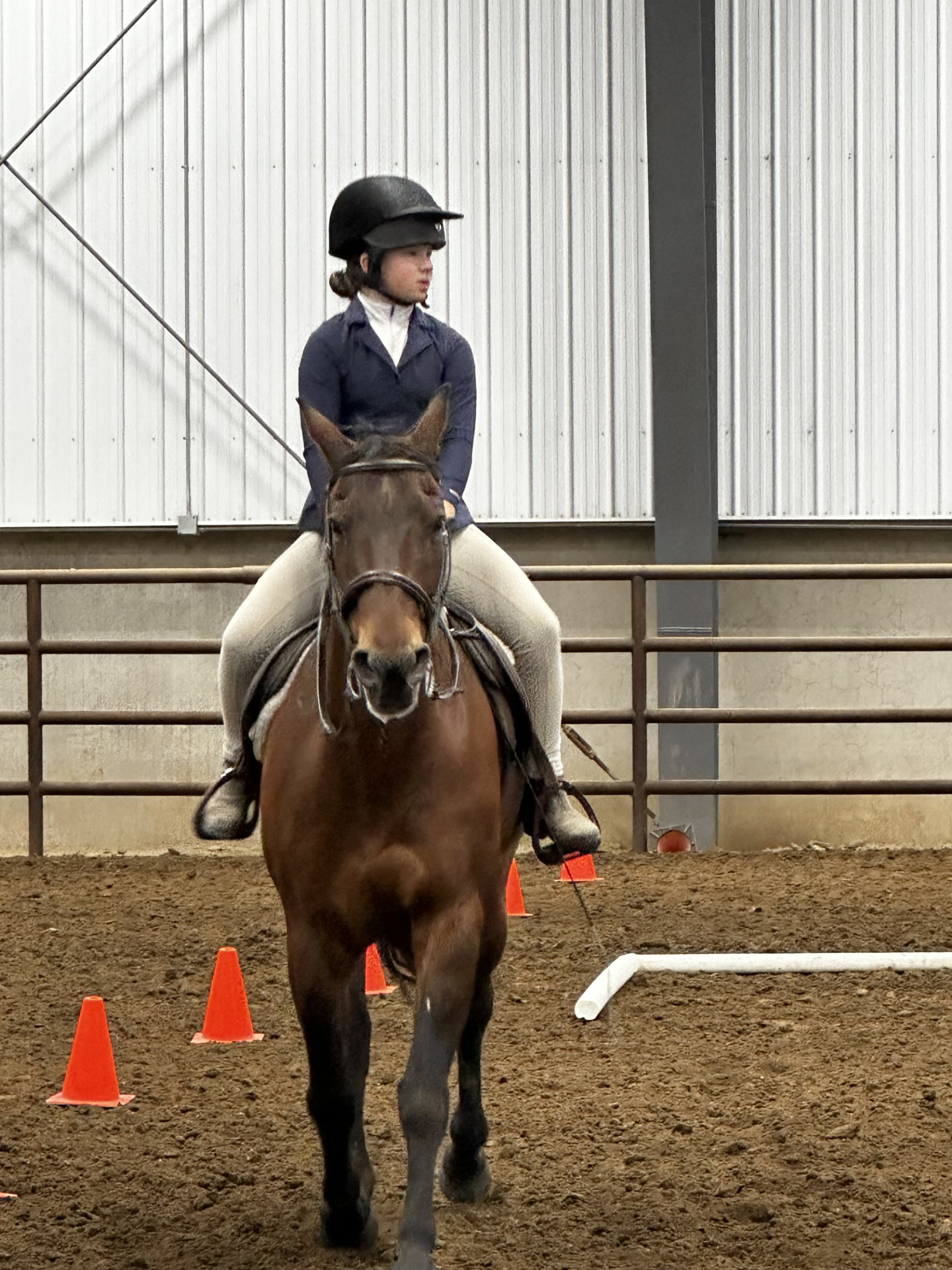 Female youth member in dressage gear, looking in the distance on her left side while riding her horse.