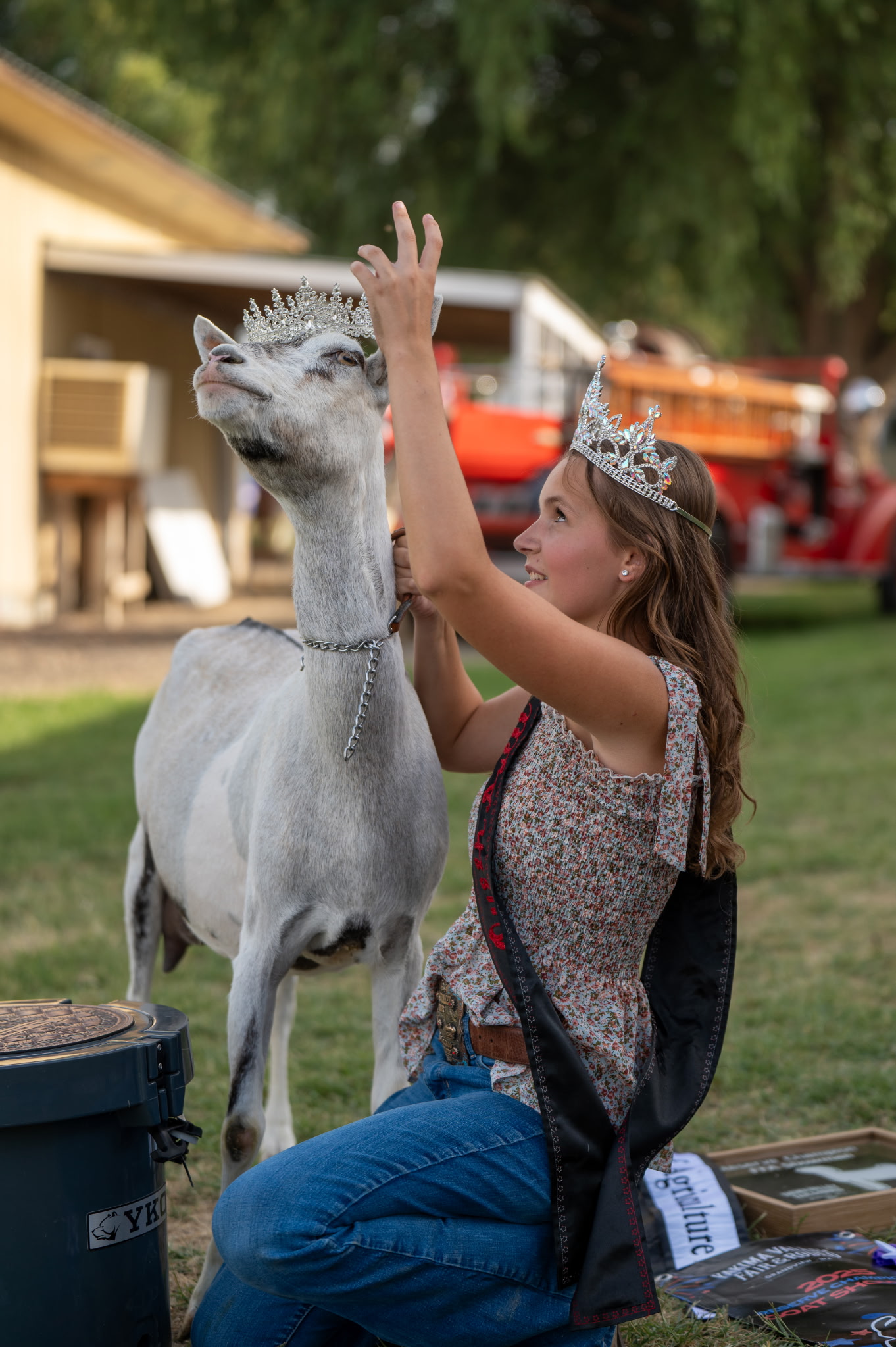 A teenage girl, smiling while putting a diamond tiara on her white goat