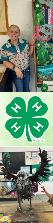 Three images stacked on top of each other, creating a vertical collage. Consisting of a young girl smiling alongside a fair display, while smiling and pointing at a ribbon. Green 4-H Clover emblem and a metal hawk display pieced together with scrap metal.