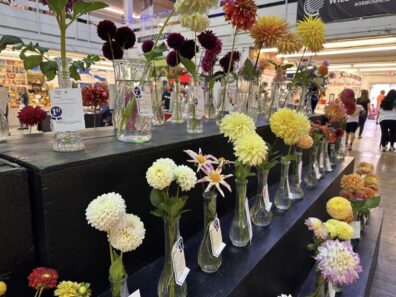 Shelf full of vases of flowers