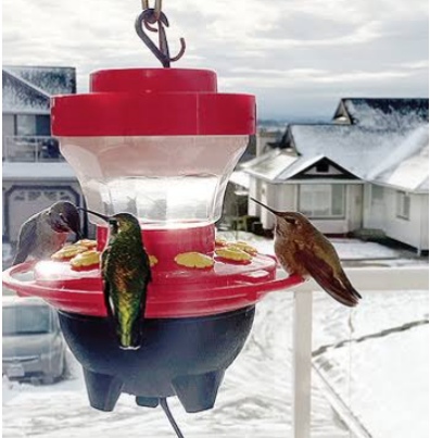 Hummingbirds perched on a heated feeder with a snowy neighborhood scene in the background