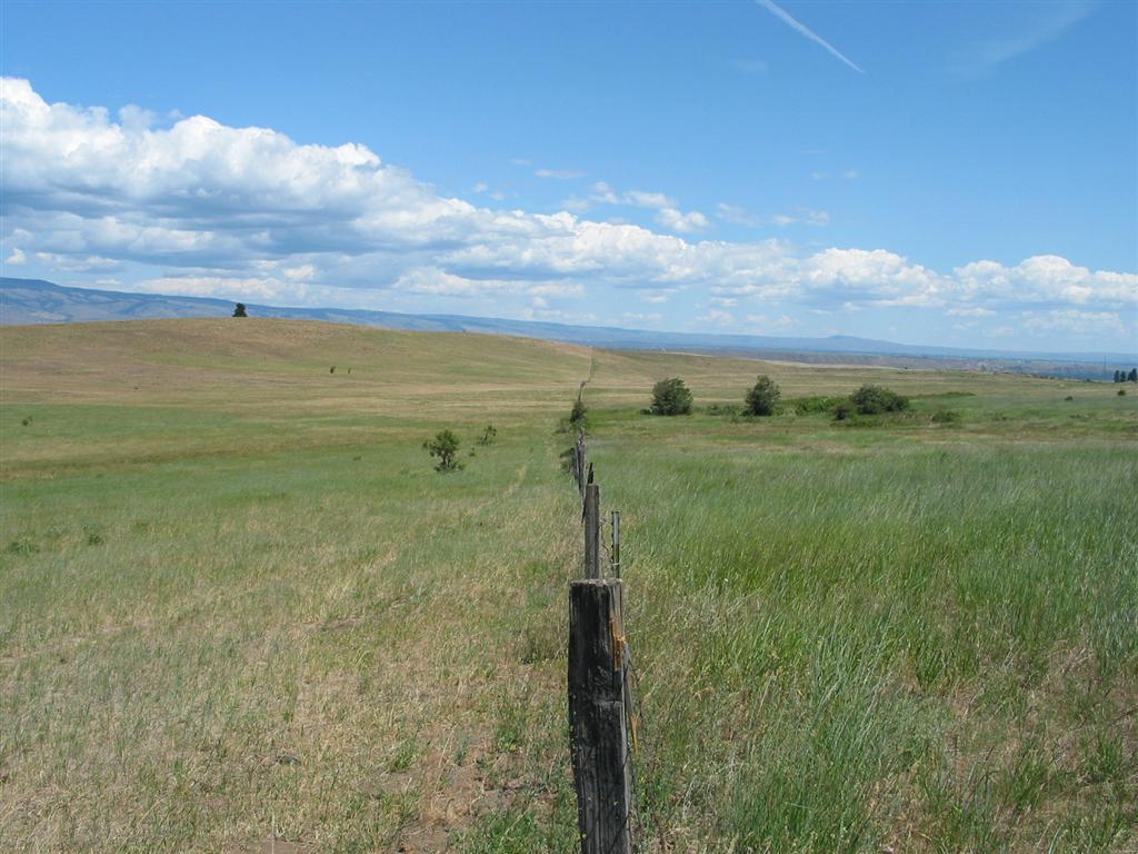 Grassy rangeland with a fence in the middle against a blue sky.
