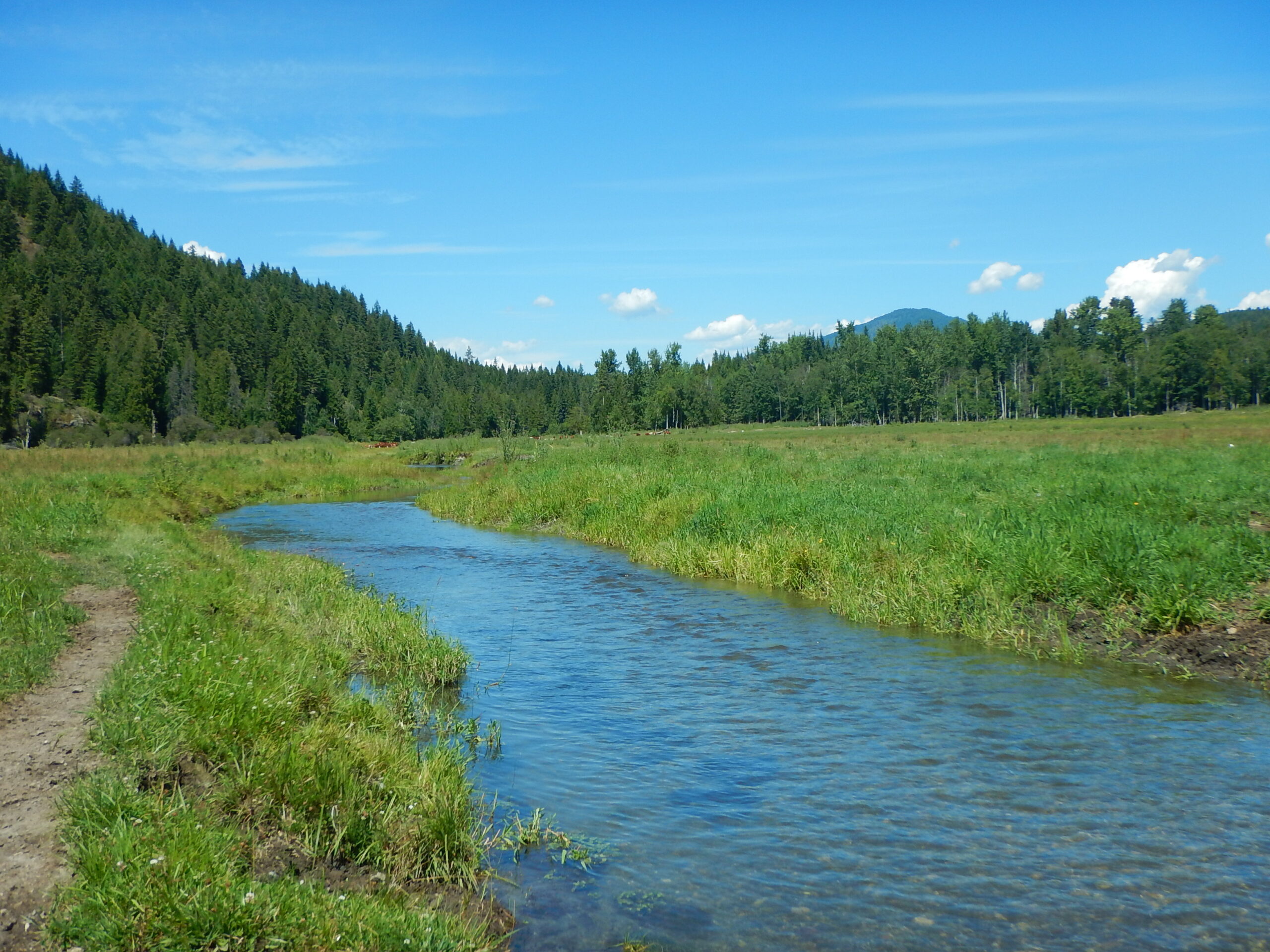 A small river running through a field with trees on hills in the background.