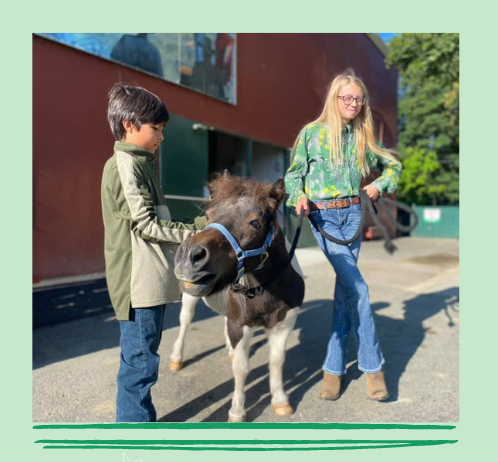 Two children stand on either side of a small horse