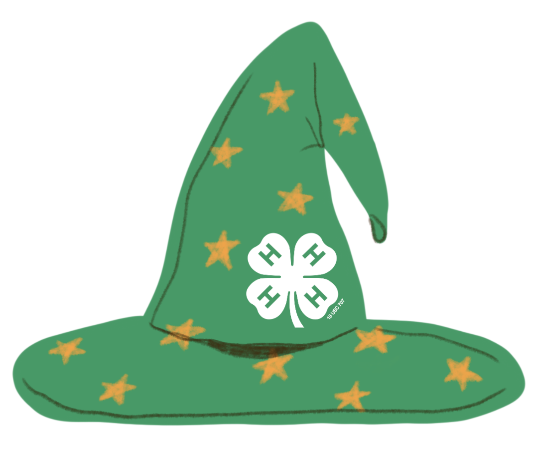green wizard hat with yellow stars and the 4-H clover emblem