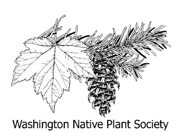 logo for Washington native plant society with a maple leave, pine cone, and pine needles