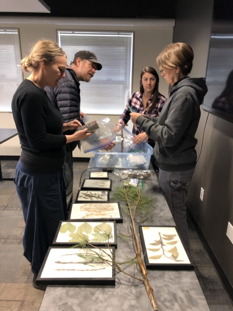 Master Gardeners looking over plant specimins.