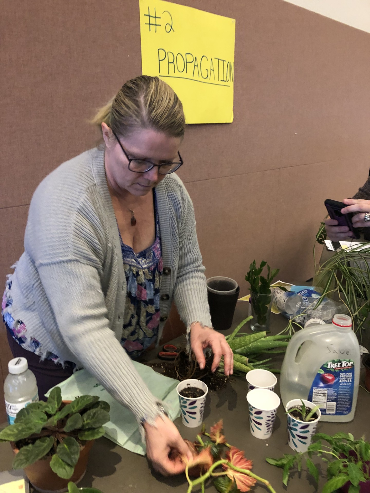 A person in a sweater and colorful blouse demonstrates plant propagation at a community event.