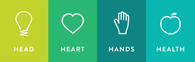 Head, Heart, Hands, Health icon.