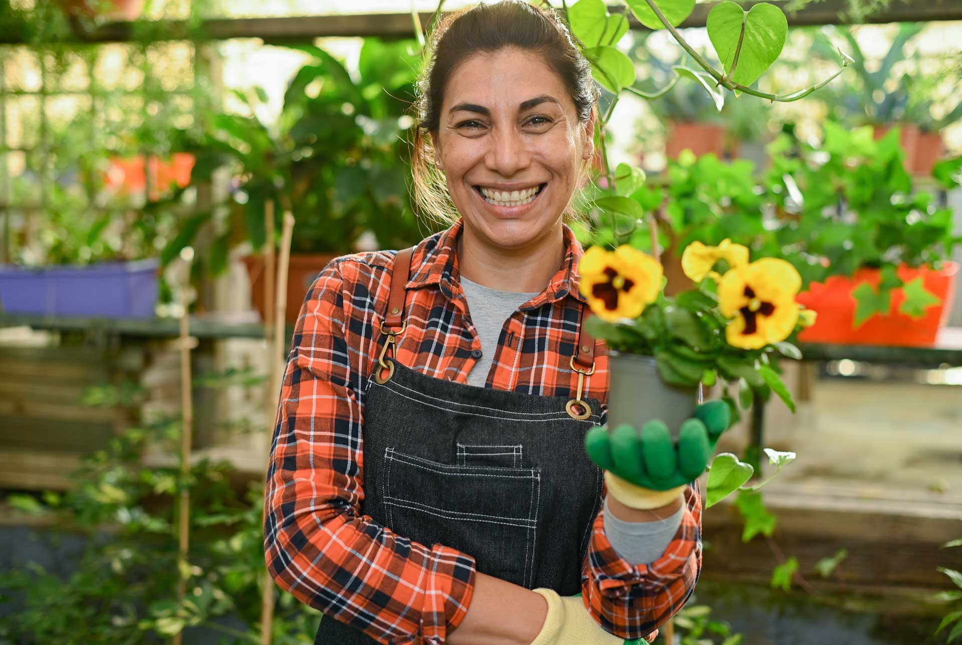 Person holding potted flowers in a greenhouse.
