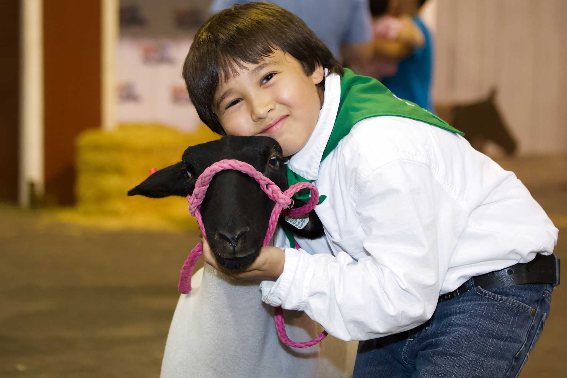 A young male 4-H agricultural club showman hugs his lamb while looking at the camera.