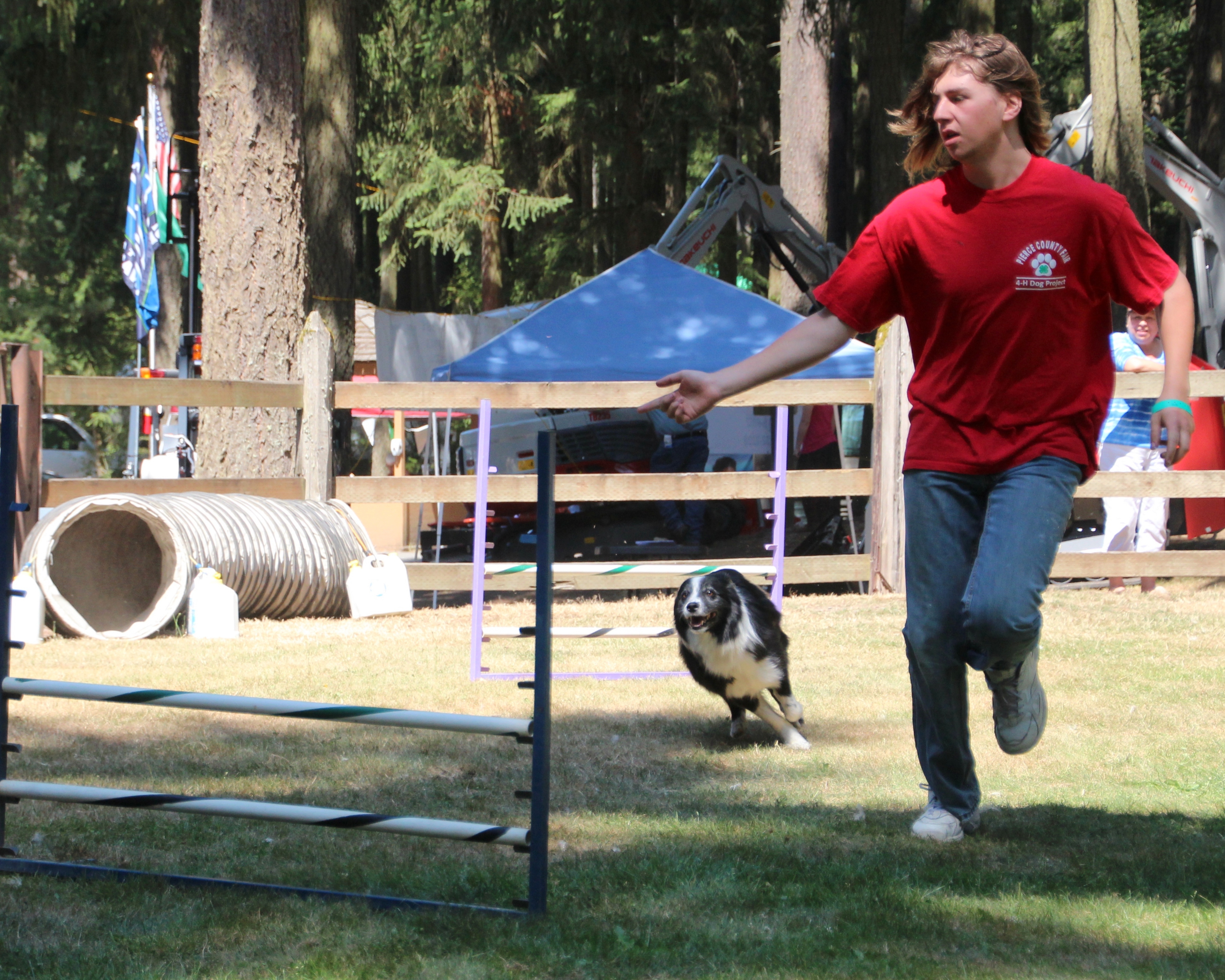 Dog Agility 2