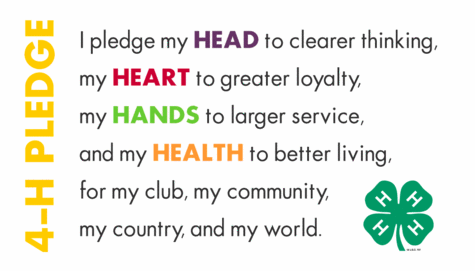 4-H Pledge. I pledge my head to clearer thinking, my heart to greater loyalty, my hands to larger service, and my health to better living, for my club, my community,. my country, and my world. 