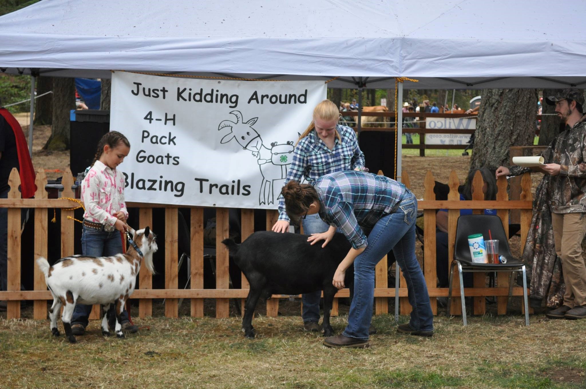 Three people looking at two goats.