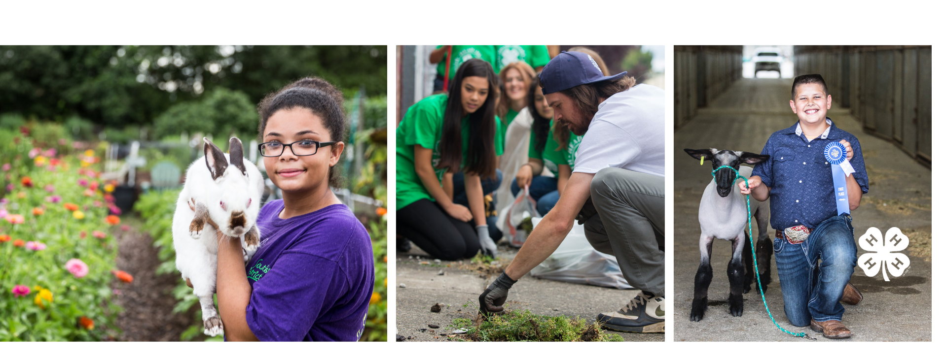4-H picture of youth in action