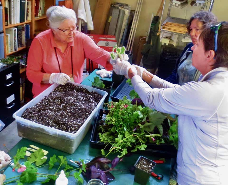A woman handing a sprout to another woman.