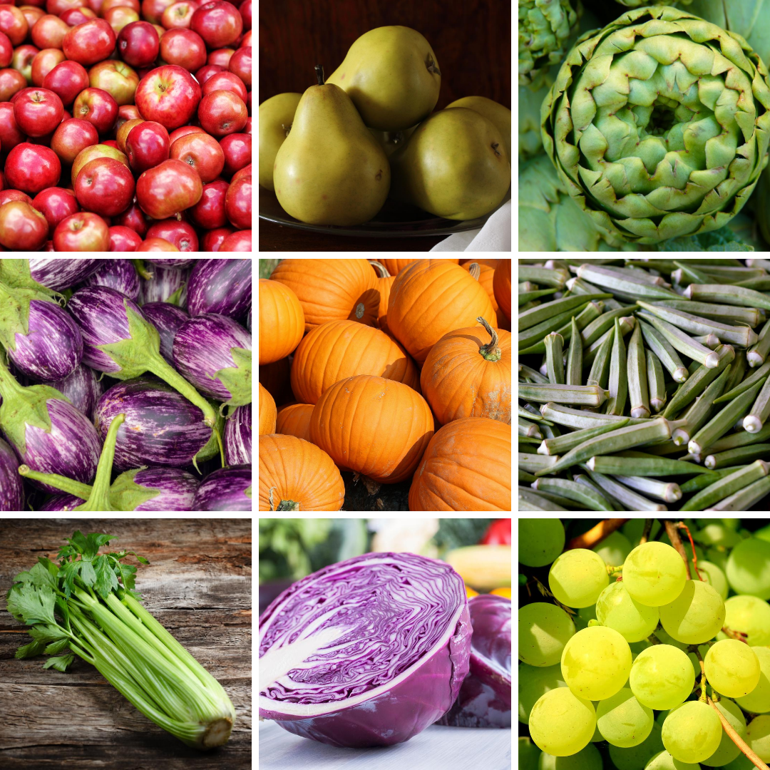 image of fall seasonal produce