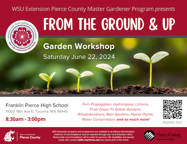 2024 From The Ground & Up flyer