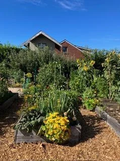 Garden plots at Orchard and Vine Community Garden