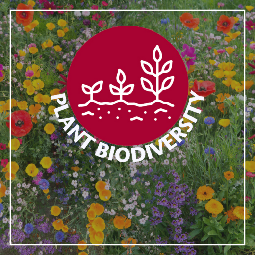 Spirit mark for Master Gardener Priority: Plant Biodiversity