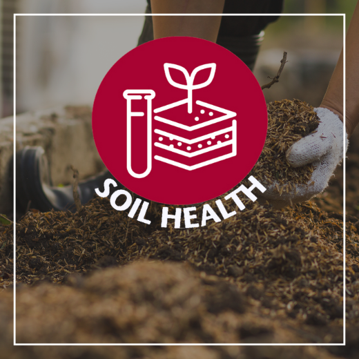 Spirit mark for Master Gardener Priority: Soil Health