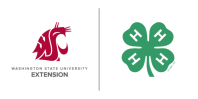 Washington 4-H Logo
