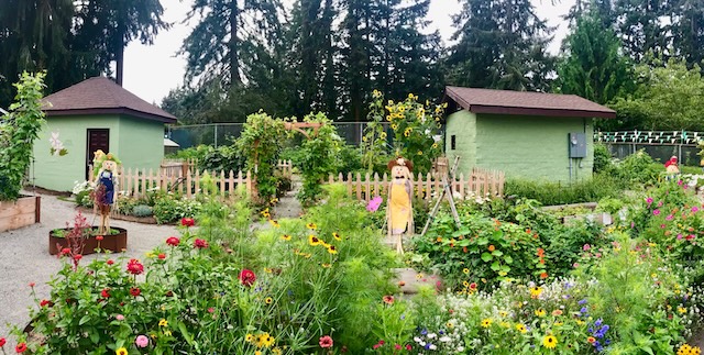 Steilacoom Historical Community garden