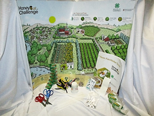 Honeybee Challenge Kit Contents