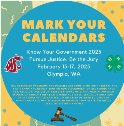 A flyer with information about Know Your Government.