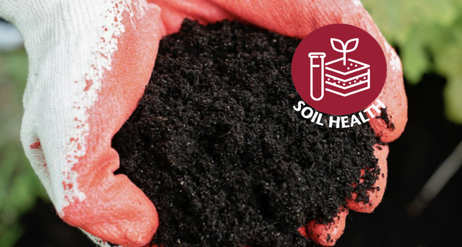 Hands holding compost