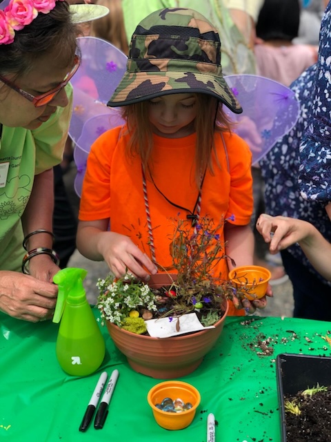 Making a fairy garden in a pot
