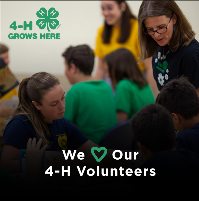 We love our 4-H Volunteers image