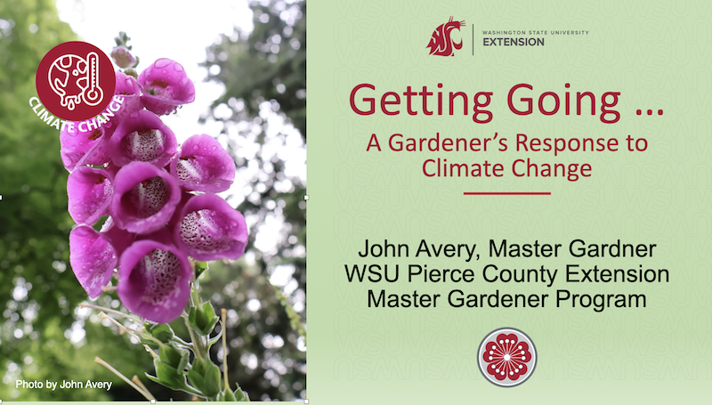 Screenshot of first page of Getting Going presentation