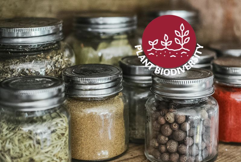 Jars of seeds with Plant Biodiversity spirit mark