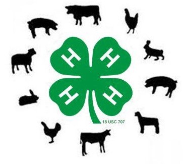 4-H Clover Logo with various animals around it.