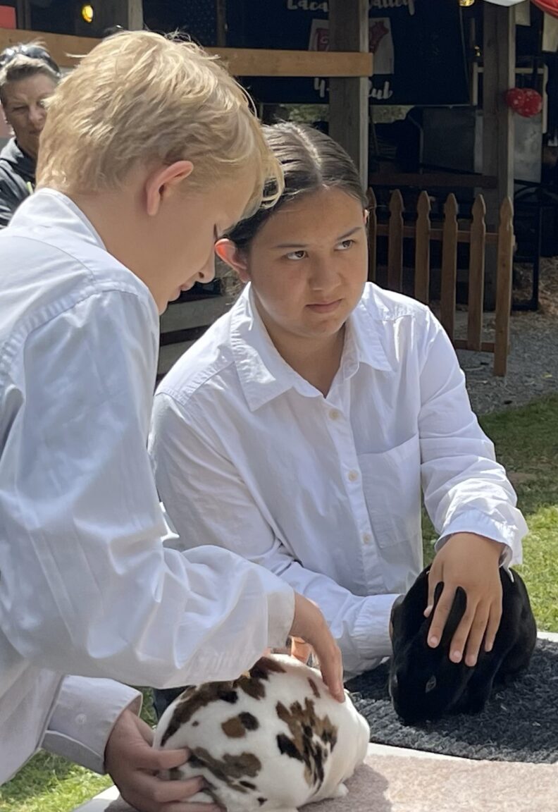 Youth members showing rabbits at the fair.
