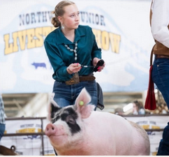 Youth member showing pig
