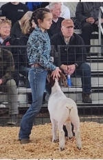 Youth member showing goat
