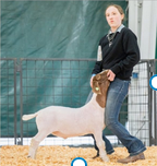 Youth member showing goat