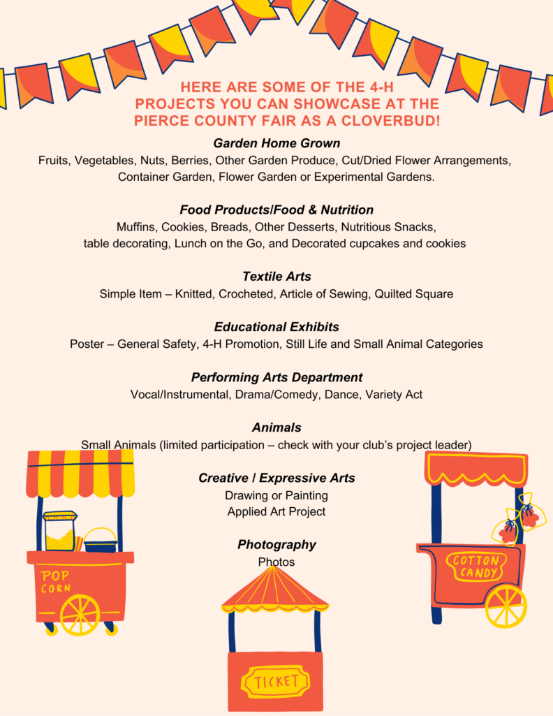 Projects that Cloverbuds can enter in the county fair